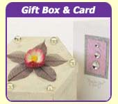 Box Card